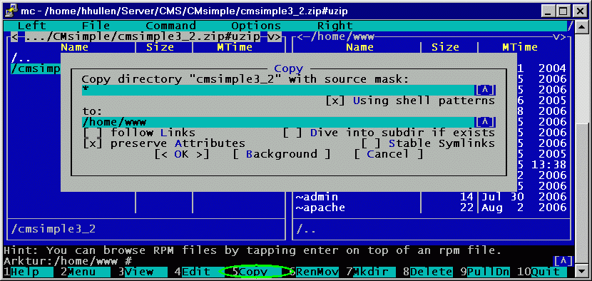 nach DocumentRoot kopieren